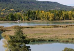 Laguna de la Jara en Toledo